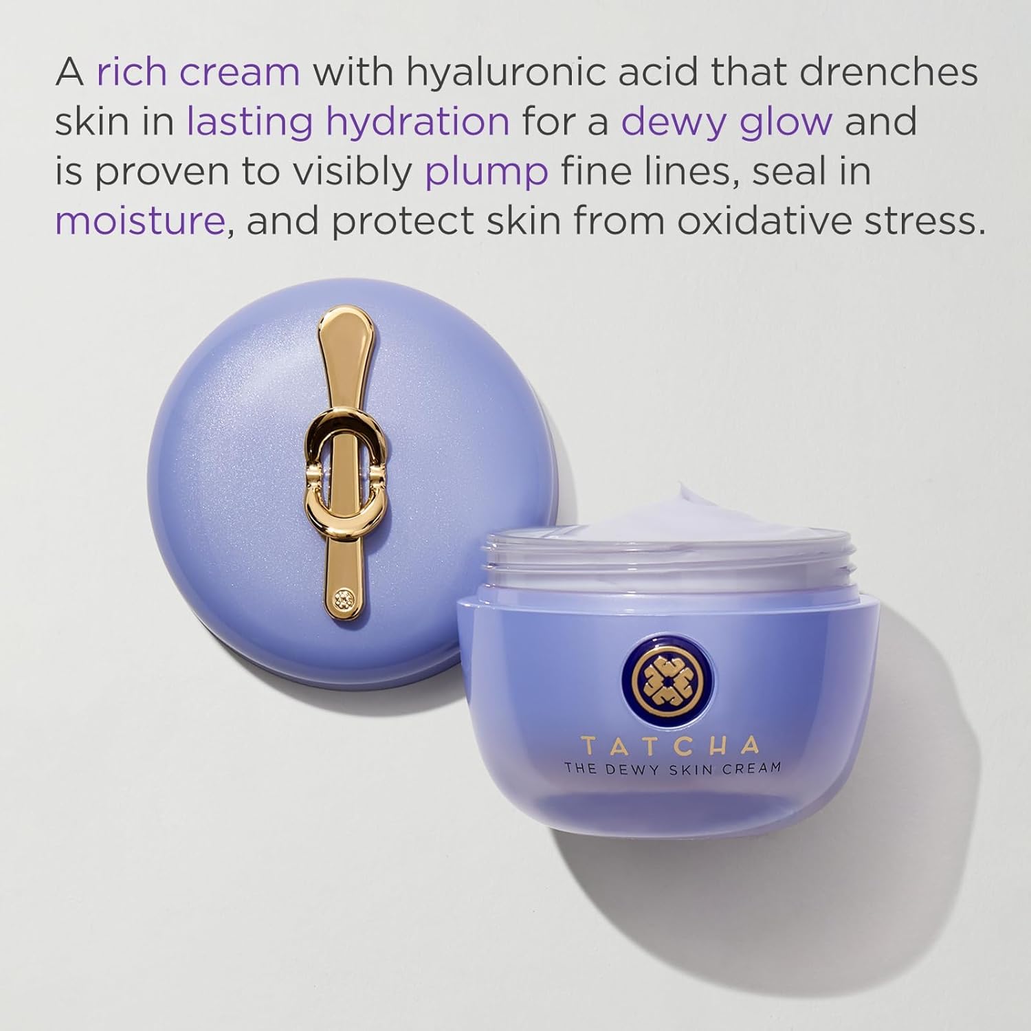 The Dewy Skin Cream | Rich Face Cream to Hydrate, Plump and Protect Dry and Combo Skin, 50 ml | 1.7 oz